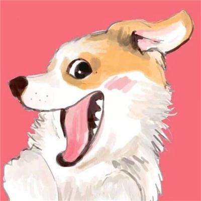 8868天际飞行队游戏下载