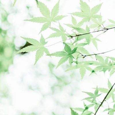哪吒不能死手游官方版下载
