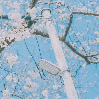 混沌榜手游下载